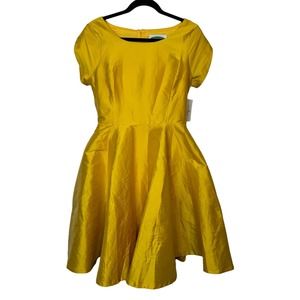 Autumn Kimball Shabby Apple Taffeta Fit and Flare Yellow Dress size 10